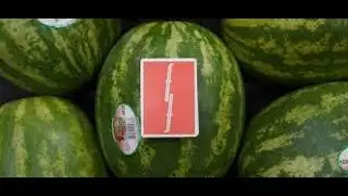 Fontaine Watermelon Edition Deck Review