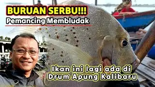 PEMANCING MEMBLUDAK‼️Awal Januari mancing lagi disini, Drum Apung Kalibaru, ada Kapi-kapi Babon