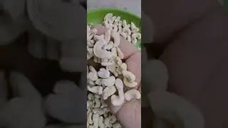 Cashew nuts supplier from Mangalore | Mangalore Cashews
