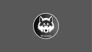 FC Wolves 2018 - Лівий берег 2