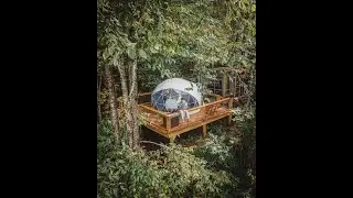 How we plan on making money in Belize while living off grid!