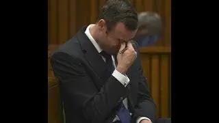 Oscar Pistorius Murder Trial Day 7 Part 2 11