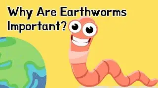 🌱 Why Are Earthworms Important? | Little Explorers Universe 🐛