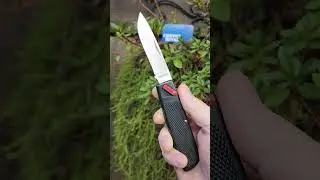 Kershaw Knives 4510 