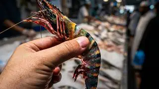 Discover the Secret to Finding the Perfect Shrimp in Abu Dhabi Fish Market!