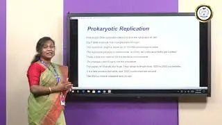 DNA Replication in Prokaryotes vs. Eukaryotes  - Ms Jesia Persis Preethi N
