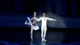 Grace Jiang  - Columbia Dance Portfolio