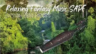 Musik Penenang Pikiran [Instrumen sape'e BORNEO]