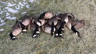 OHIO late season Goose hunting!