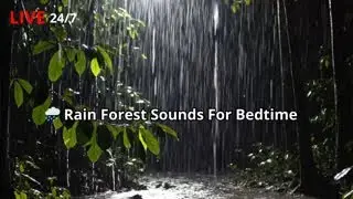 🔴 Live 🌧️ Rain Forest Sounds For Bedtime Sleep Relaxation And Calming The Nervous System Slowly