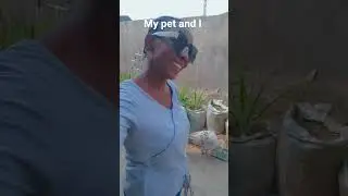 my pet and i eating #pets #turkey #food