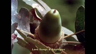 Scuare - Love Songs & Apologies