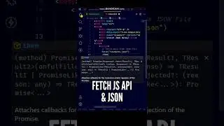 🤩😱 Read a Local JSON File in JavaScript using Fetch API #shorts #javascript #programming #api