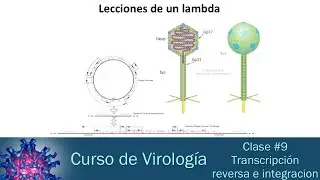 Clase #9   Transcripción reversa e integracion