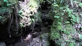 The Devil's Millhopper