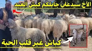 دخول أول دفعة الخاصة بكباش عيد الأضحى في مزروعة الأخ سيدعلي . كبش العيد 2025 #عيد_الأضحى_2025 #كبش !