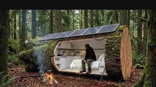 Building a house in the forest (ASMR) - This man built a mini house inside a tree trunk by #short