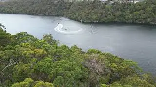 Killarney Heights