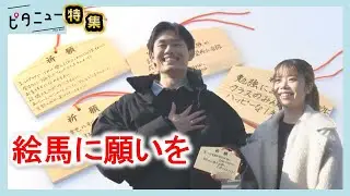 【密着】元日の広島護国神社 初詣29万人の人間模様｜ピタニュー特集