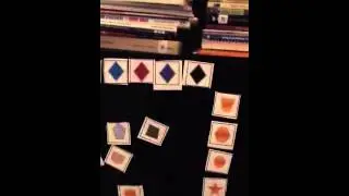 Piaget Task Analysis Two