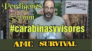 Perdigones 5,5 mm