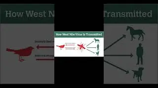 WEST NILE FEVER|#upscpreparation #upscexam #currentaffairs #healthcare