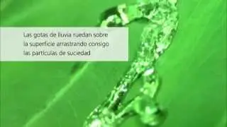 StoColor Lotusan - Fachadas siempre limpias