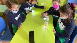 BRS Year 3 Science- An investigation of light