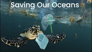 Saving our oceans from plastic pollution