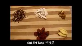 Gui Zhi Tang