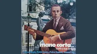 Ramito De Flores
