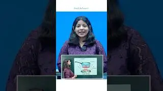 Smart Board For Teaching With AI Tools: 75 Inch Interactive Flat Panel Digital Board For #education