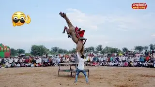 Indian Camel Dance | प्रवीण जेजूसर का ऊंट डांस | बिशनपुरा मेला 2025 Jhunjhunu Mela