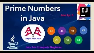 Find Prime Number between 1 - 100 JAVA || EP - 8