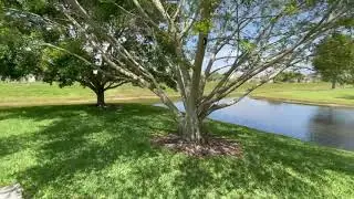 8494 S Coral Cir North Lauderdale, FL 33068