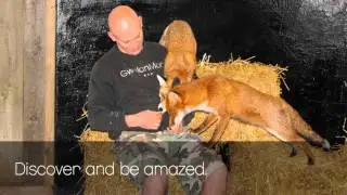 Feadon Farm Wildlife Centre Redruth Cornwall
