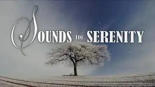 01 HOUR PIANO MELODIES TO HEAL YOURSELF -HD VIDEO- SLEEP/RELAX/STUDY.