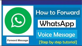 How To Forward WhatsApp Voice Message