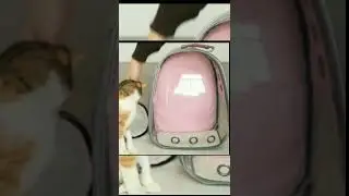 Transparent Carrier Backpack for Travel, Hiking and Outdoor for Puppies & Cats