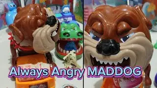 ASMR 🌈The grumpy dog is always angry and hungry  😠🐶 #asmr #maddog #trend #toys #toyforkids #live