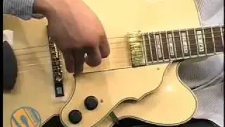 Ibanez AF105F