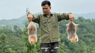 Gardening, caring for pets, cooking ly quyet farm