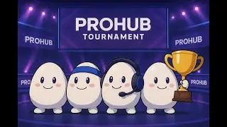 The Finals - ProHubs tournament
