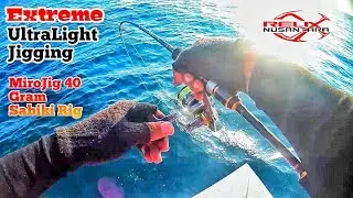 DILUAR DUGAAN !!! Dikira Ikan Kecil Ternyata Ngeri Tarikannya || Extreme UL Jigging Mania