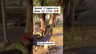 #creatorsearchinsights #trendcouple #search #drole #fyp  #Shorts