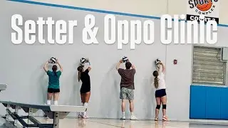 Setter & Oppo Clinic