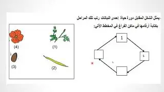 مراجعة الوحدتين الأولى والثانية للصف الخامس في مادة العلوم