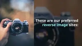 Best reverse image search sites