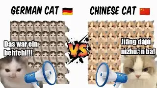 German Cat vs Chinese Cat || That was a help