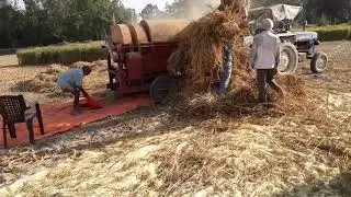 Paddy Thressing By vijay